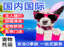 阜阳航空运输国际宠物托运 【国